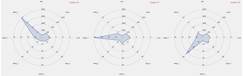 BDASC2.5_spider chart.jpg